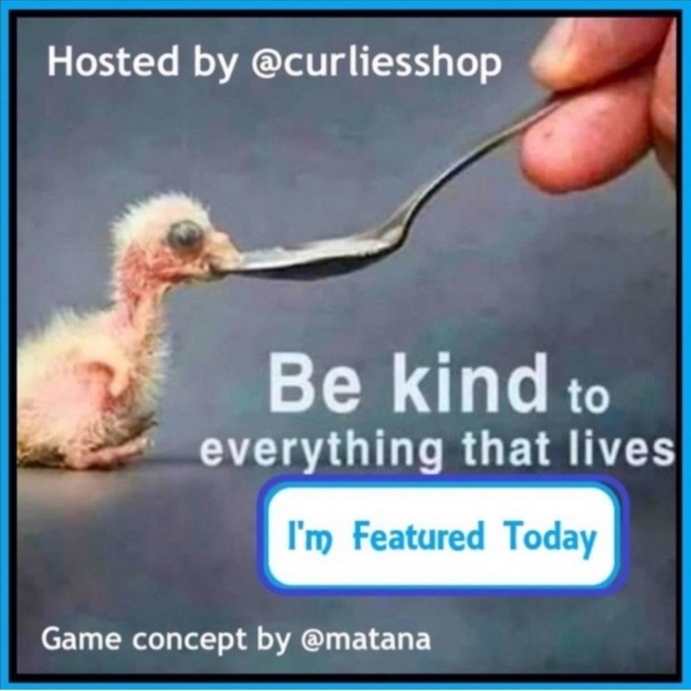 I'm Featured Today! 10/3 in the Be Kind Share Game by @curlysshop